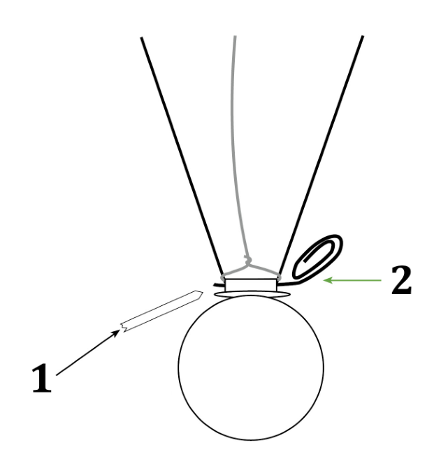 Close-up of a ball hanging from two wires with a toothpick (1) locking the wires in the hanger slot and a paper clip (2) used to remove it.