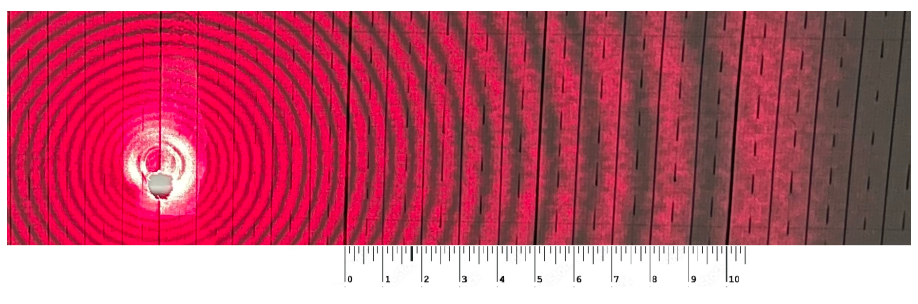Photograph of circular red interference fringes centred near the left of the frame, with a millimetre ruler graduated 0 to 10 cm below the fringes.