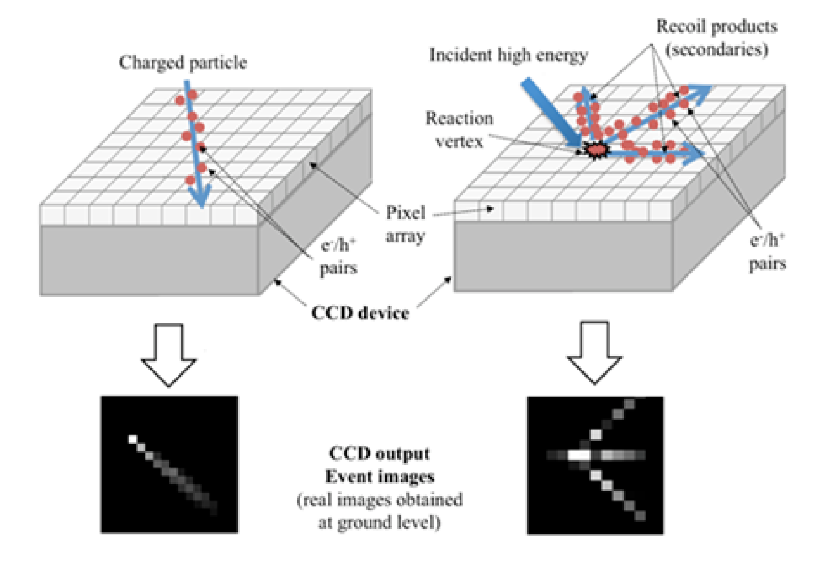 Two schematic diagrams of a CCD device with a pixel array. Left: a charged particle passing through the CCD creating e-/h+ pairs along a diagonal track. Right: an incident high energy particle hitting a reaction vertex and producing recoil products (secondaries) with e-/h+ pairs. Below each schematic, black event images show bright pixel tracks.