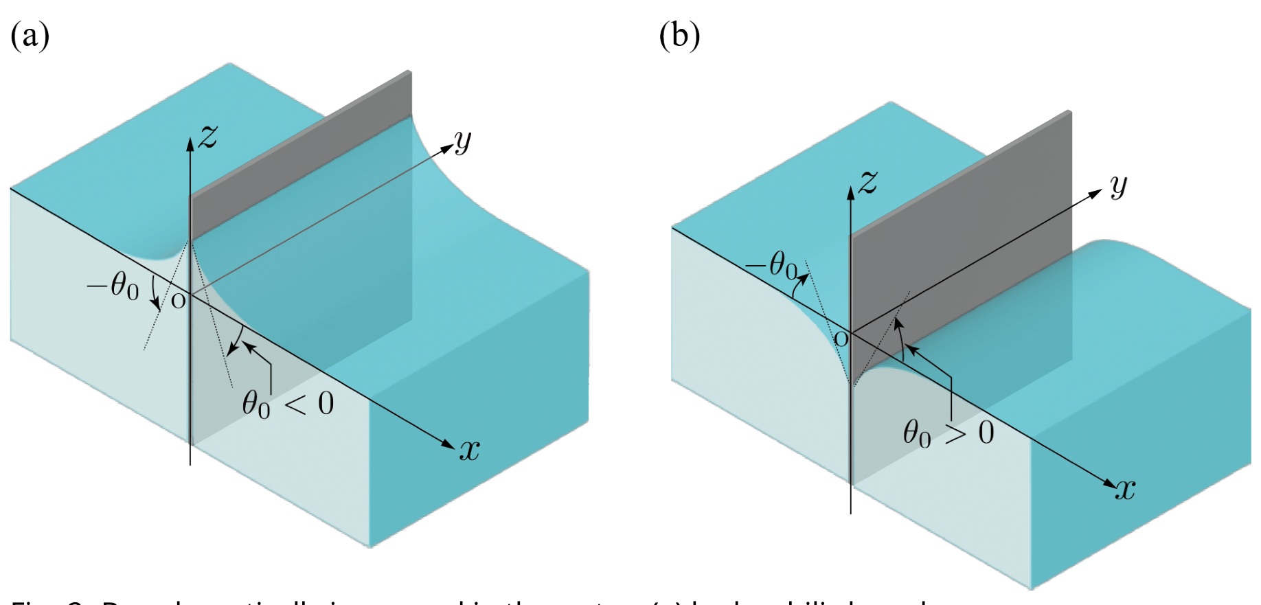 Two 3D views of a vertical grey board on the yz plane immersed in water. In (a) the water rises along the hydrophilic board, contact angle marked with -theta_0 on the left and theta_0 < 0 on the right; in (b) the water is depressed along the hydrophobic board, contact angle -theta_0 on the left and theta_0 > 0 on the right.