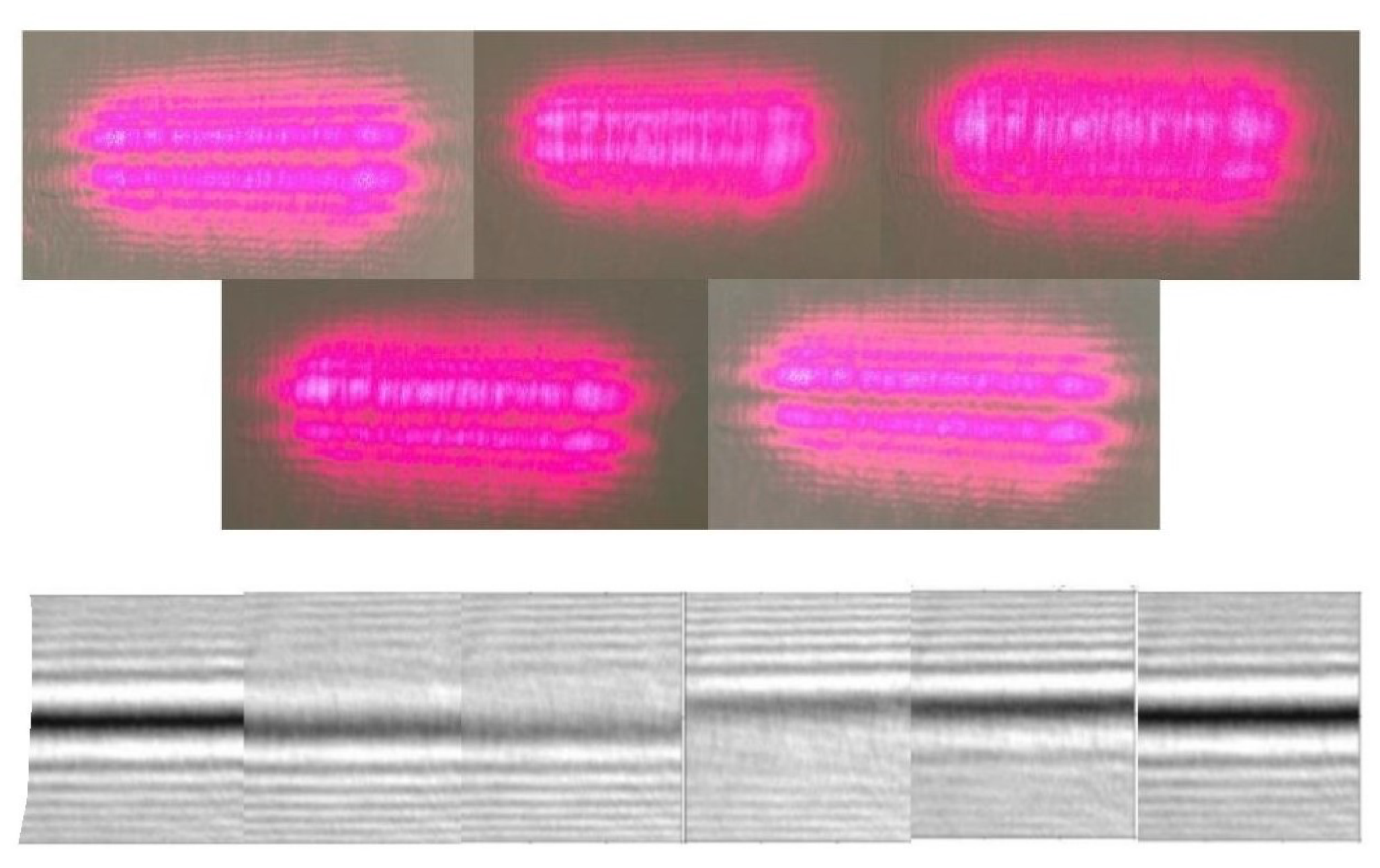 Two rows: upper row shows five photographs of the pink diffraction pattern on the lab screen at successive stages of one fringe shift; lower row shows the corresponding theoretical grayscale fringe patterns.