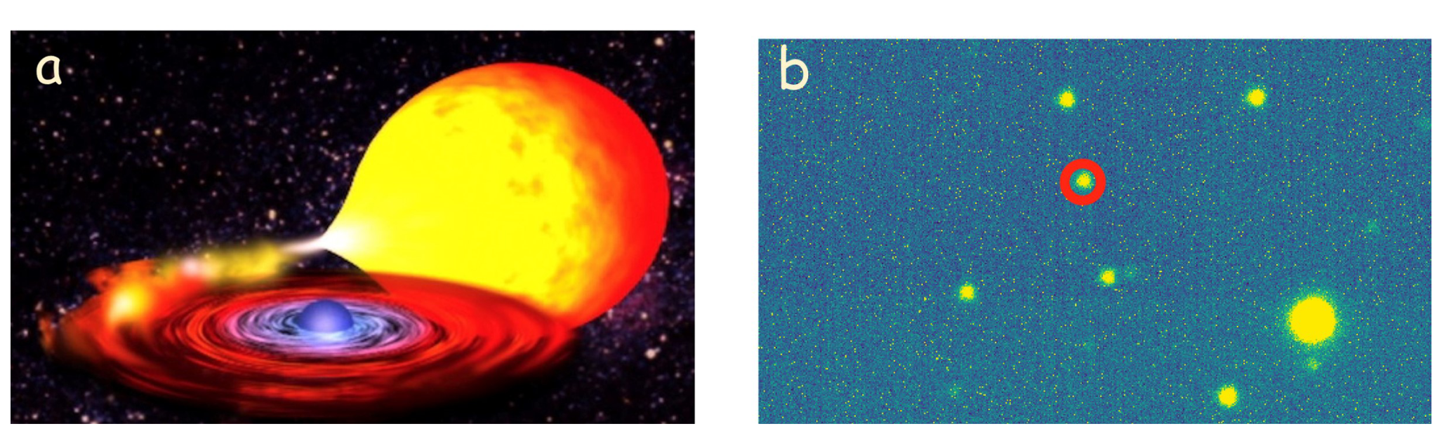 (a) Artist's impression of a neutron star with an accretion disk pulling gas from a large yellow-red companion star. (b) Telescope image (green/blue field) with several bright spots, one marked with a red circle, showing the companion of PSR J2215+5135.
