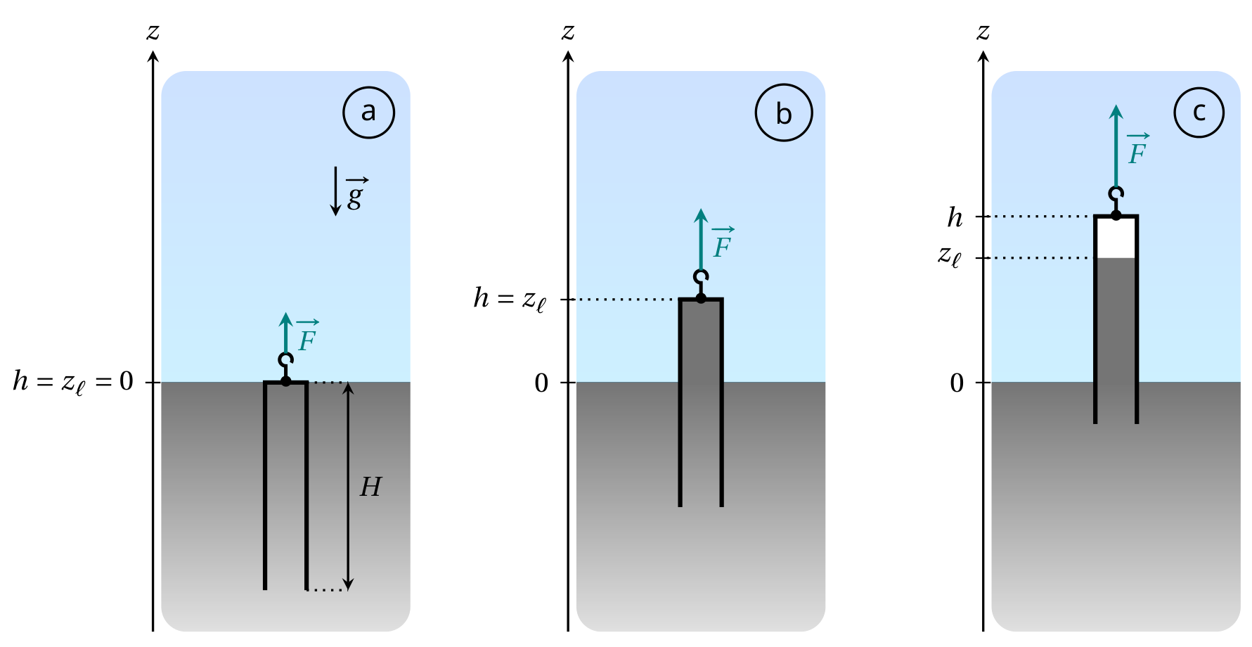 Three sketches (a, b, c) of a vertical open-bottom closed-top tube in a bath, with z axis, g arrow, pulling force F arrow; case a at h = z_ℓ = 0, case b lifted with h = z_ℓ, case c with h above z_ℓ; H marked in case a.