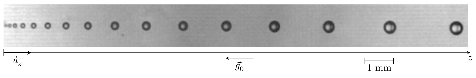 Horizontal photo of a train of progressively larger bubbles; below the photo an axis z points right with arrows for velocity u_z, gravity g_0 pointing left, and a scale bar of 1 mm.