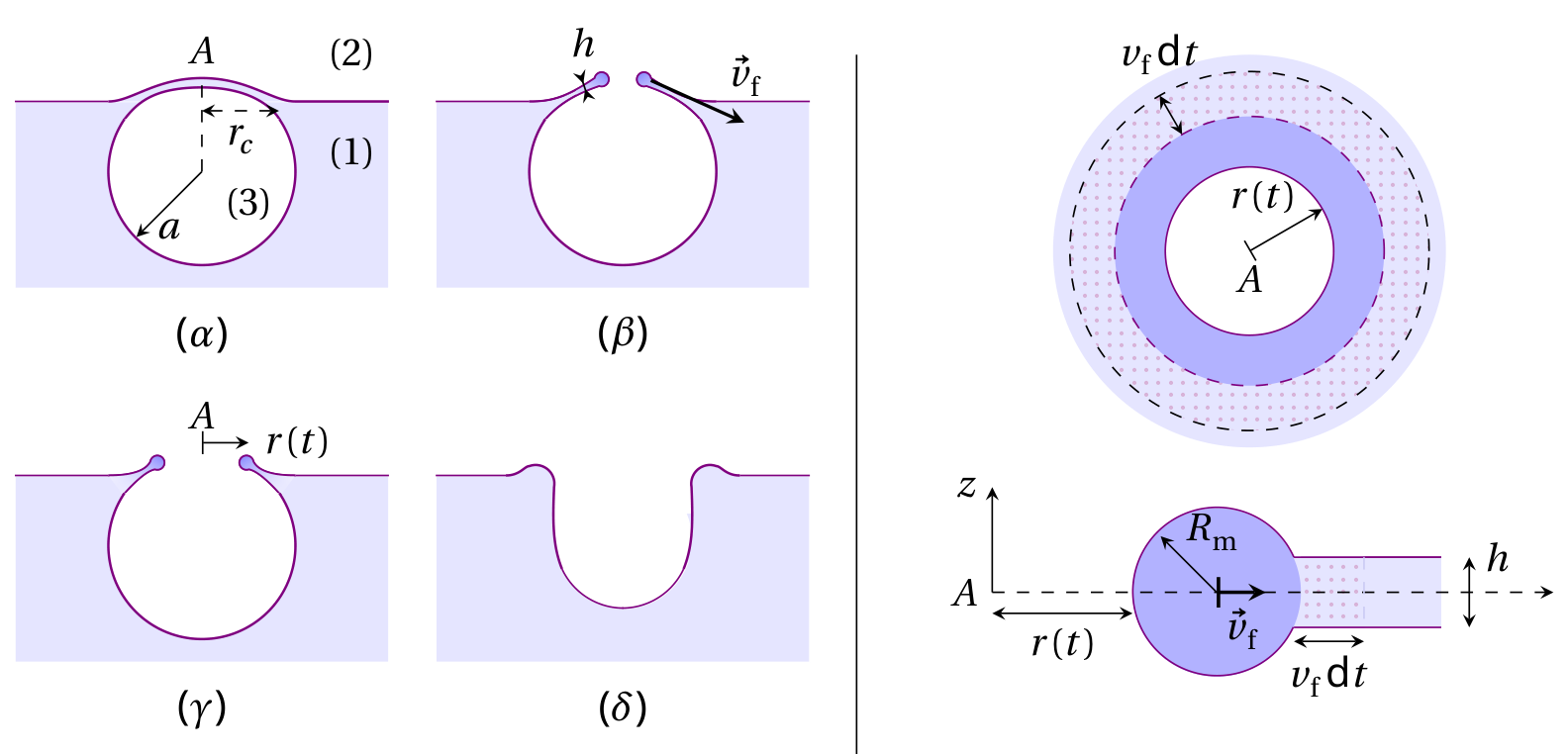Left column: four sketches (α to δ) of a bubble at the liquid surface with a film hole of radius r(t) opening, film thickness h, rim moving at speed v_f. Right column: top view of the pierced film showing growing hole radius r(t) and rim annulus of width v_f dt; below, a cross-section with rim radius R_m, film thickness h, hole radius r(t) and velocity v_f.