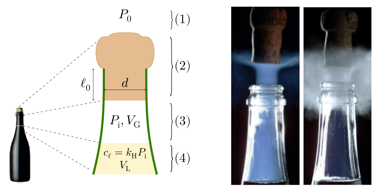 Left: schematic of a bottle neck with cork of diameter d, embedded length ℓ_0, below it a gas region labelled P_i, V_G and liquid labelled c_ℓ = k_H P_i, V_L, with pressure P_0 above. Right: two photos of a champagne bottle being opened with a fog plume at the neck.