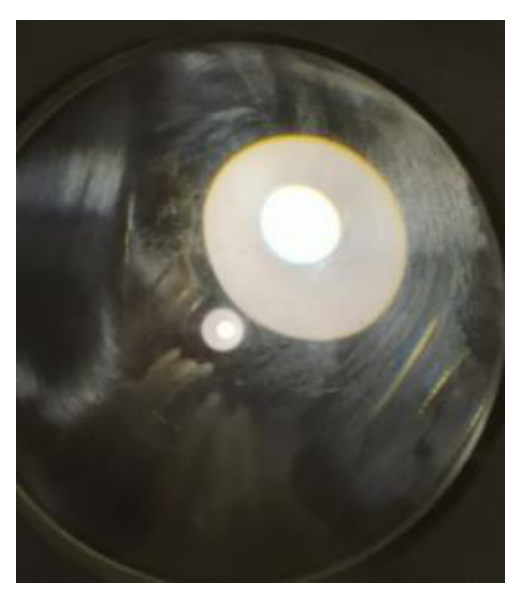 Photograph showing a large bright circular image of a street lamp and a small secondary reflected image inside a dark lens.