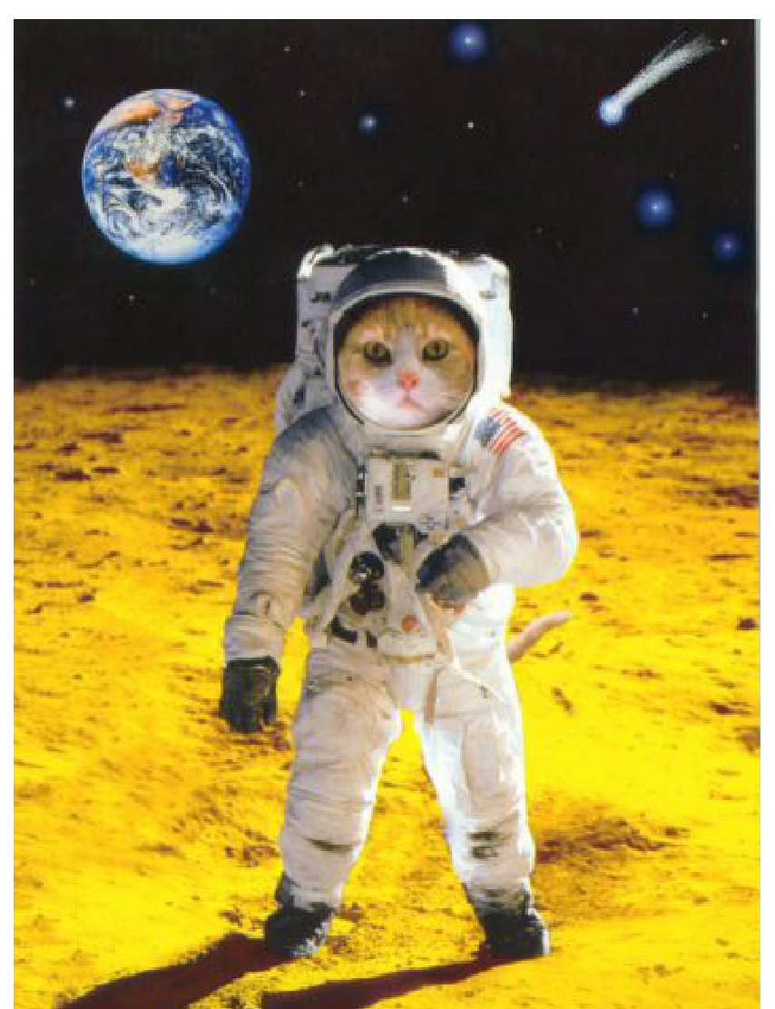 Фотомонтаж: котарак в скафандър, стъпил на жълта лунна повърхност; в горния ляв ъгъл се вижда Земята в почти пълна фаза, а в горния десен – комета с опашка, насочена надясно и нагоре. Сянката на котарака пада напред и надясно от него.
