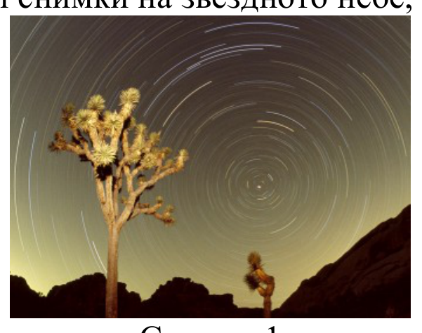 Снимка 1: концентрични дъги от звездни следи около небесния полюс, на преден план дърво и скали.
