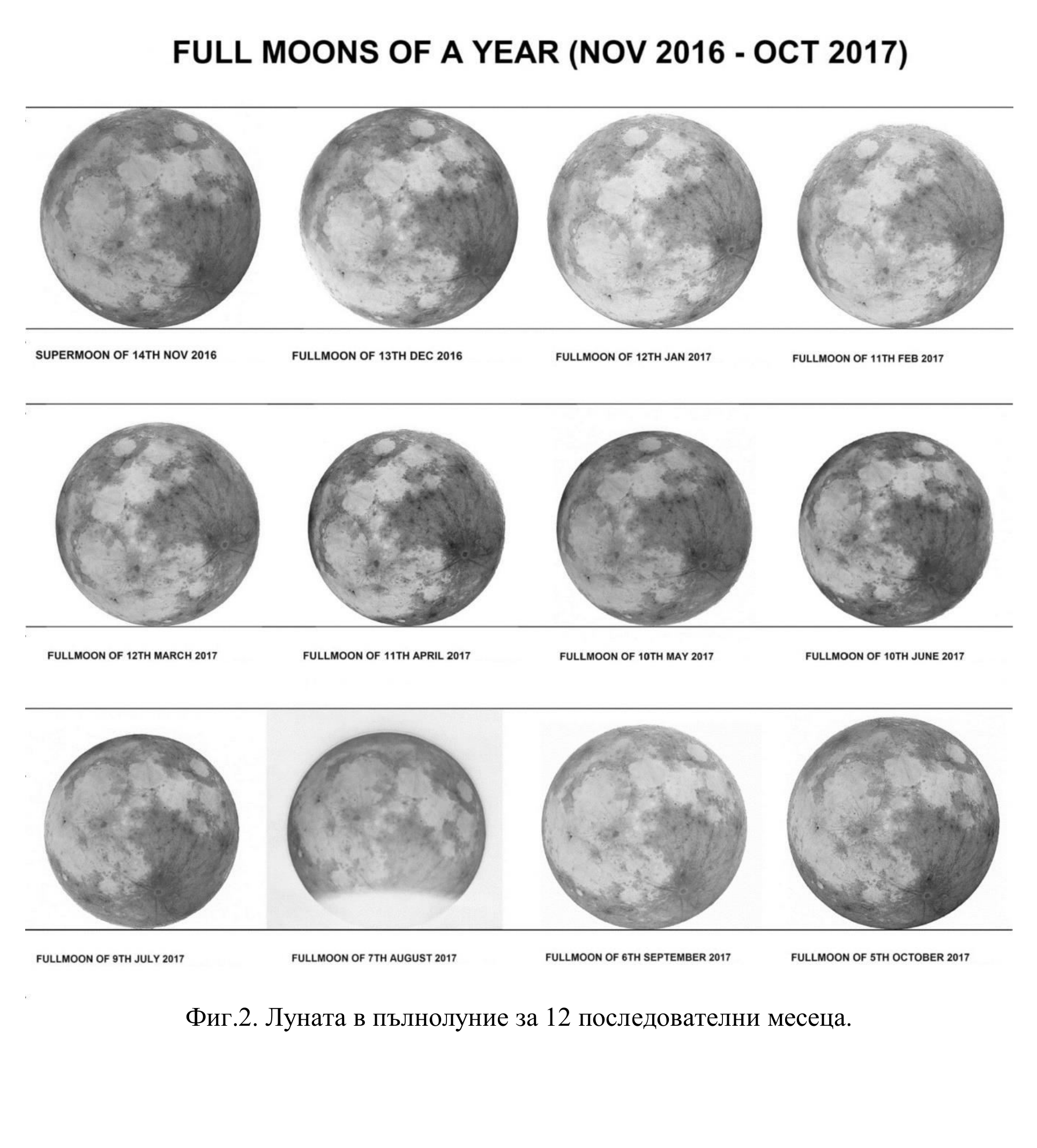 Таблица от 12 снимки на пълната Луна в еднакъв мащаб, озаглавена FULL MOONS OF A YEAR (NOV 2016 - OCT 2017): от суперлунието на 14 ноември 2016 г. до пълнолунието на 5 октомври 2017 г., с подпис под всяко изображение.