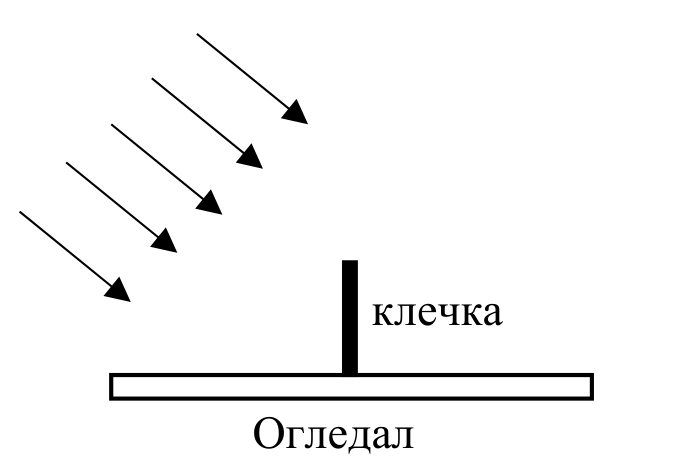 Схема към Част 2 на задача 3: сноп светлина пада върху хоризонтално огледало, върху което перпендикулярно е залепена кибритена клечка.